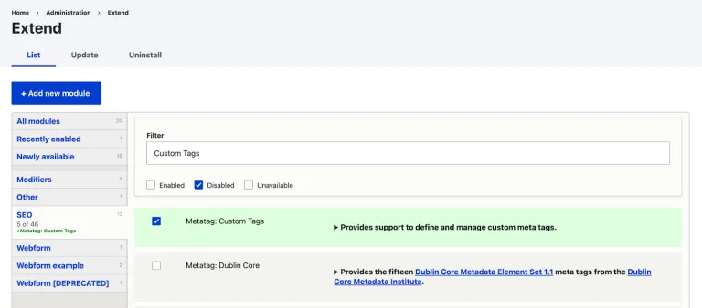 Enable metatag custom tags module