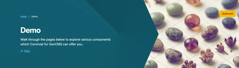 Banner side image - Convivial-for-GovCMS