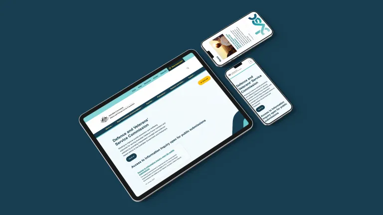 DVSC website on hand held devices