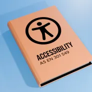 AS EN 301 549 and accessible Government digital services